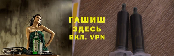 гидра Гусев