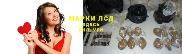 гидра Гусев