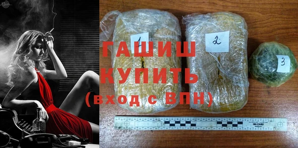 гидра Гусев