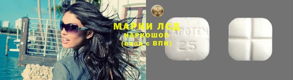 гидра Гусев