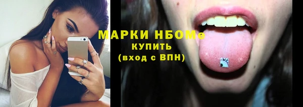 гидра Гусев