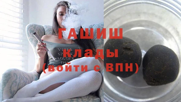 гидра Гусев