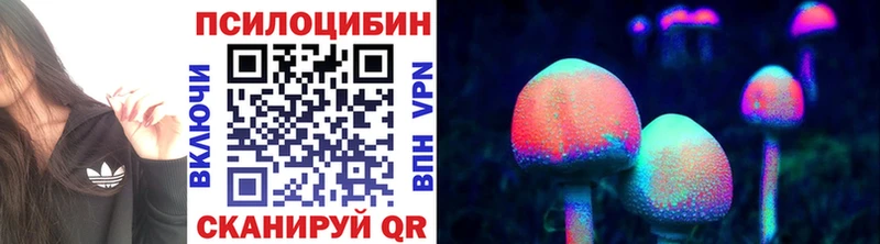 Псилоцибиновые грибы мицелий  Купить закладки  Дербент 